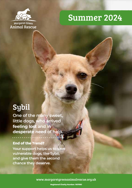 Summer 2024 Magazine